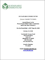 2008 Annual Report