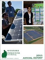 2013 Annual Report